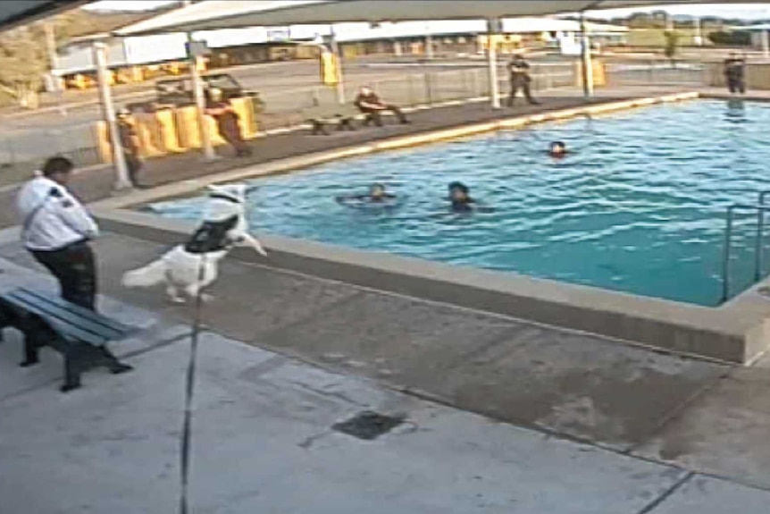 A security dog barks at girls in the swimming pool.
