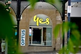 An Optus store sign seen through a border of leaves.
