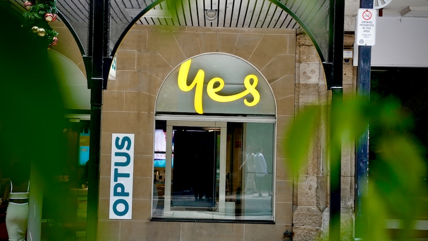 An Optus store sign seen through a border of leaves.