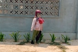 A scarecrow stands in front of a concrete wall with plants at its base.