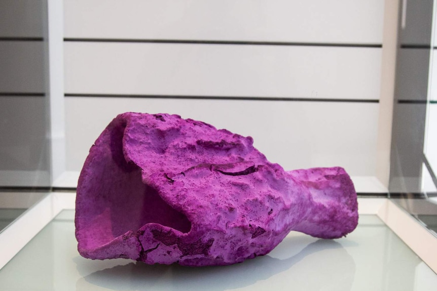 Purple Sponge. Sponges are the simplest animals on earth.