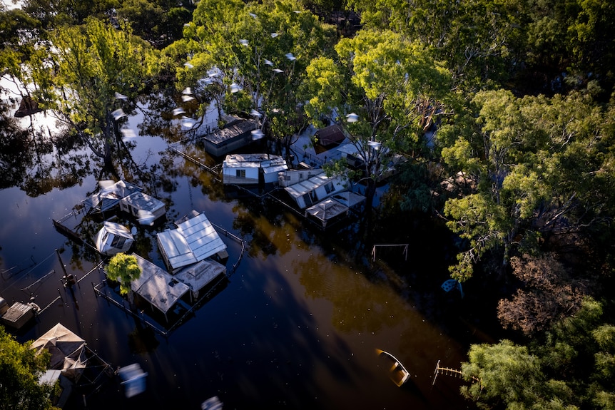 Smashed caravans surrounded by brown water and trees