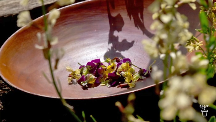 Large wooden bowl filled with edible flowers