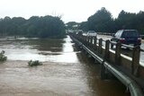 Swollen Mary River flows under the Normanby Bridge at Gympie today.