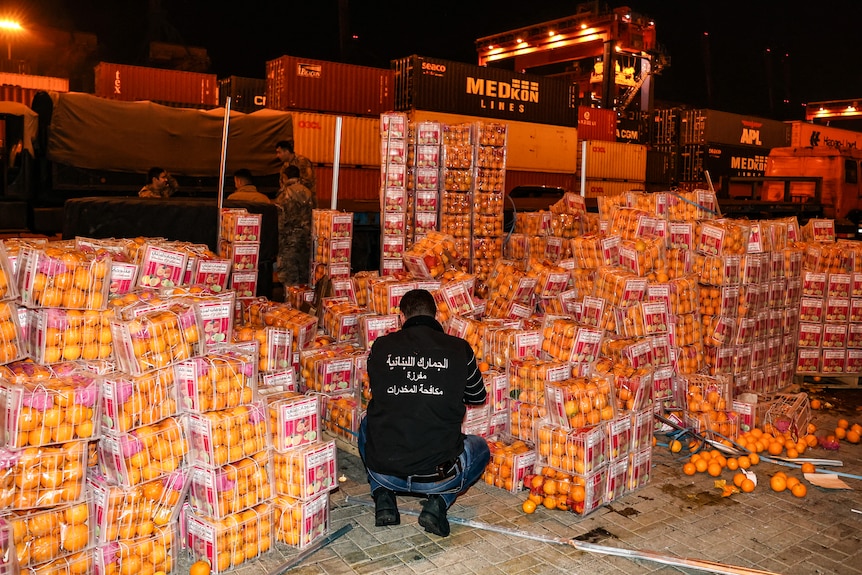 Customs agents check a shipment of oranges in boxes.