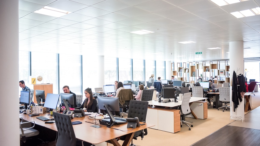 A wide shot of a light, open-plan office space in which many chairs are empty, and other people sit at computer screens.