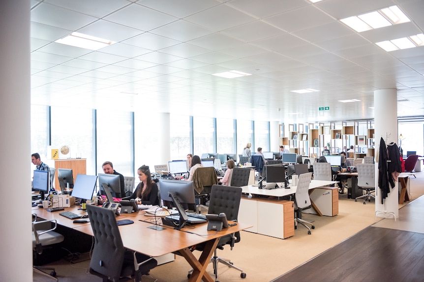 A wide shot of a light, open-plan office space in which many chairs are empty, and other people sit at computer screens.