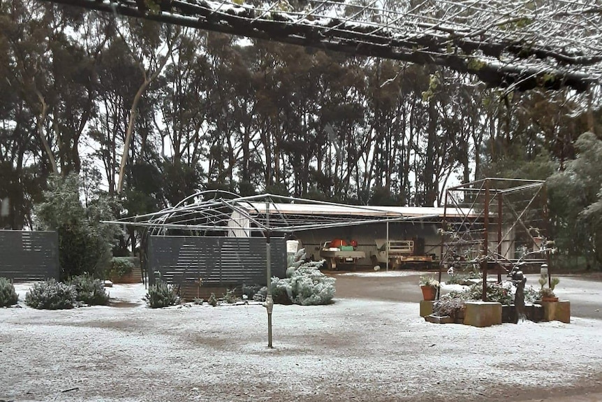 A backyard and a shed covered in snow