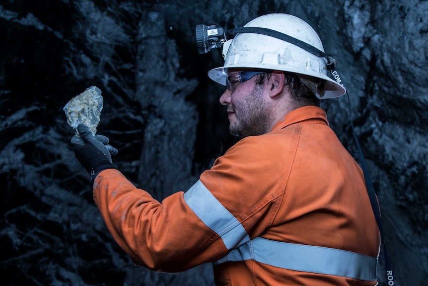 A male geologist looking at a rare gold specimen in an underground gold mine.