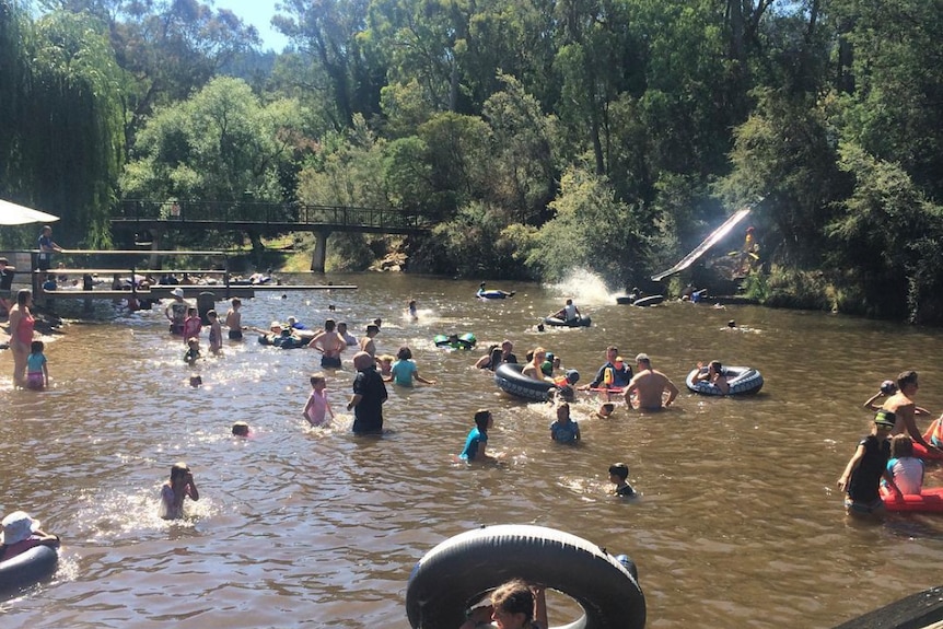 People swimming in a river with a diving board in the background.