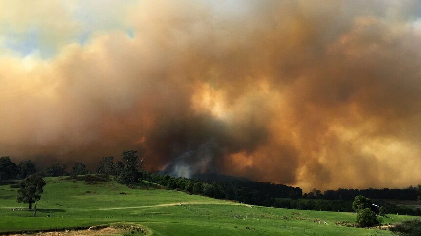 Plumes of smoke rise near Lancefield, in central Victoria.