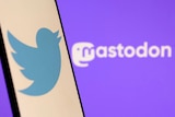 Twitter and Mastodon logos are seen in this illustration