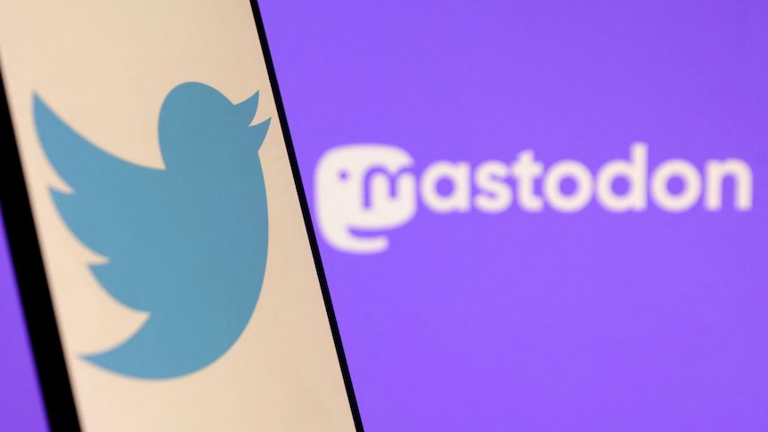 Des milliers de personnes affluent vers Mastodon dans ce que les utilisateurs appellent une #TwitterMigration.  Qu’est-ce que c’est et comment fonctionne la « plate-forme rivale » ?