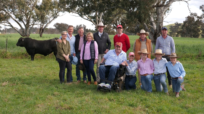 A dozen people standing in front of a black angus bull 