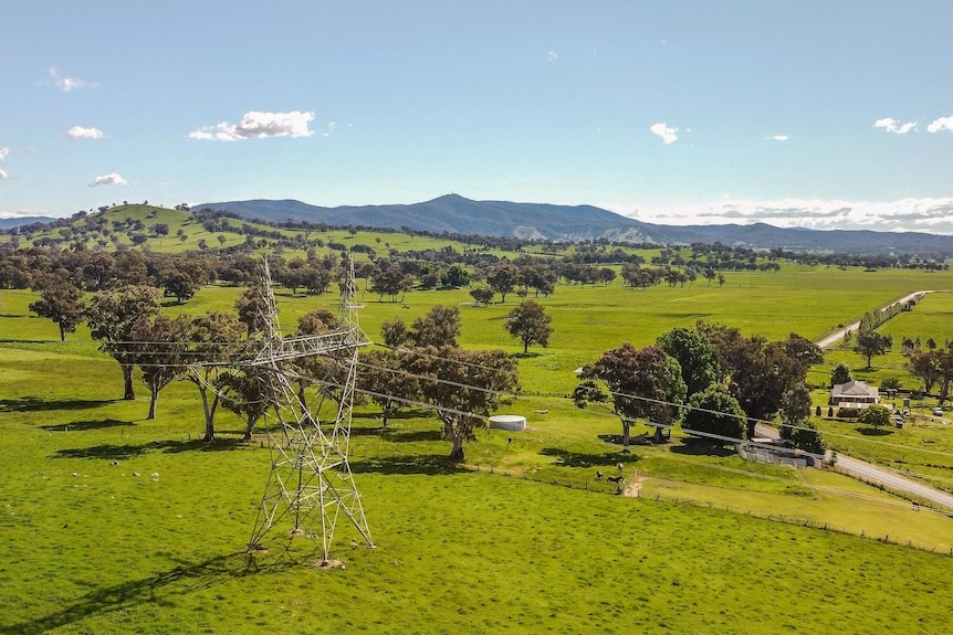 Photo of powerlines in a field.