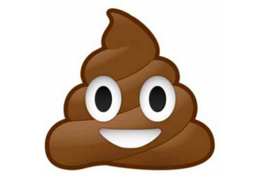 The smiling poo emoji