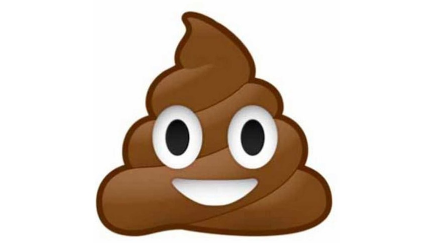 The smiling poo emoji