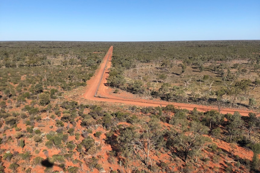 An overhead drone shot of an outback national park landscape.