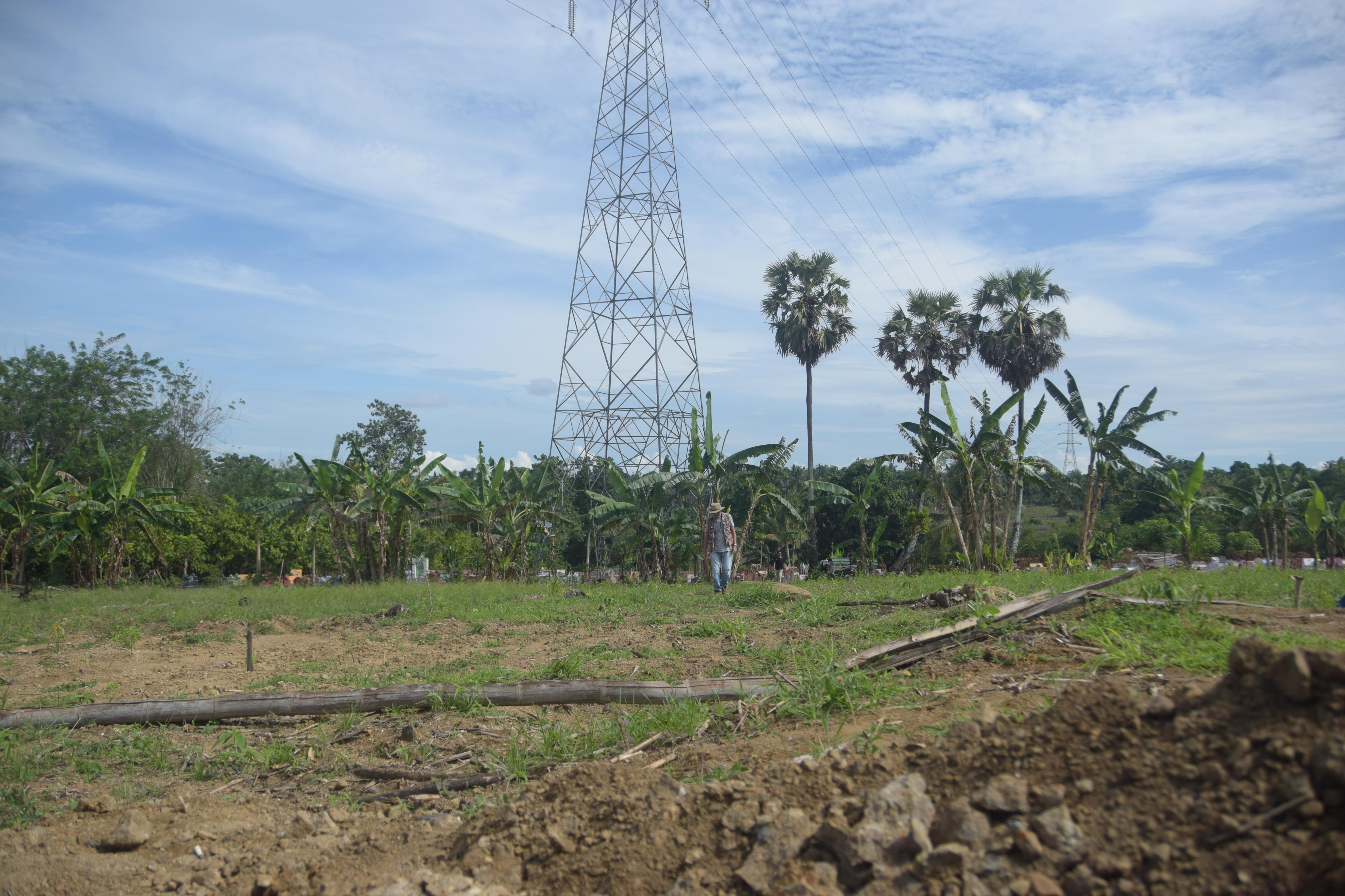 Green field with pale dust underneath and power lines, green jungle and palm trees in the background.