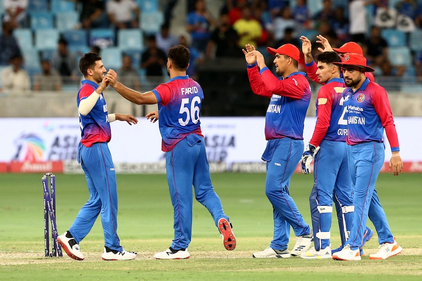 Afghanistan's Fareed Ahmad celebrates with teammates.