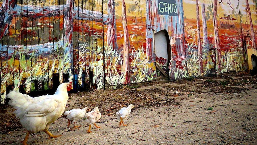 Chickens walk past a wall covered in colourful murals.