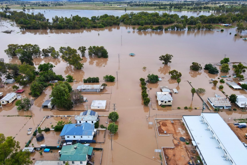 Brown water floods houses and trees