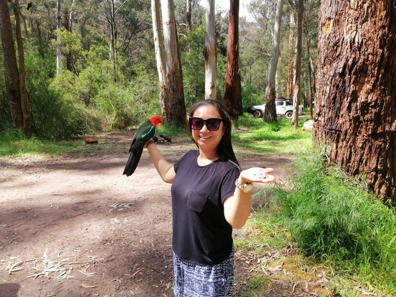 一名女士对着镜头微笑，左手上停着一只鹦鹉