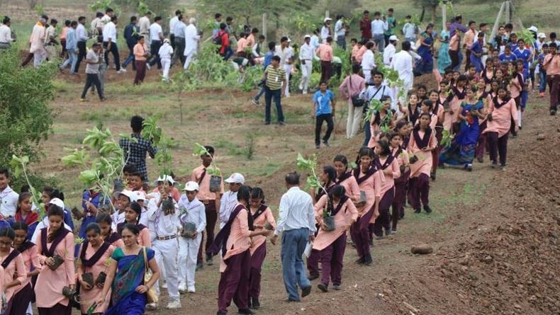 Indian people carry trees to plant