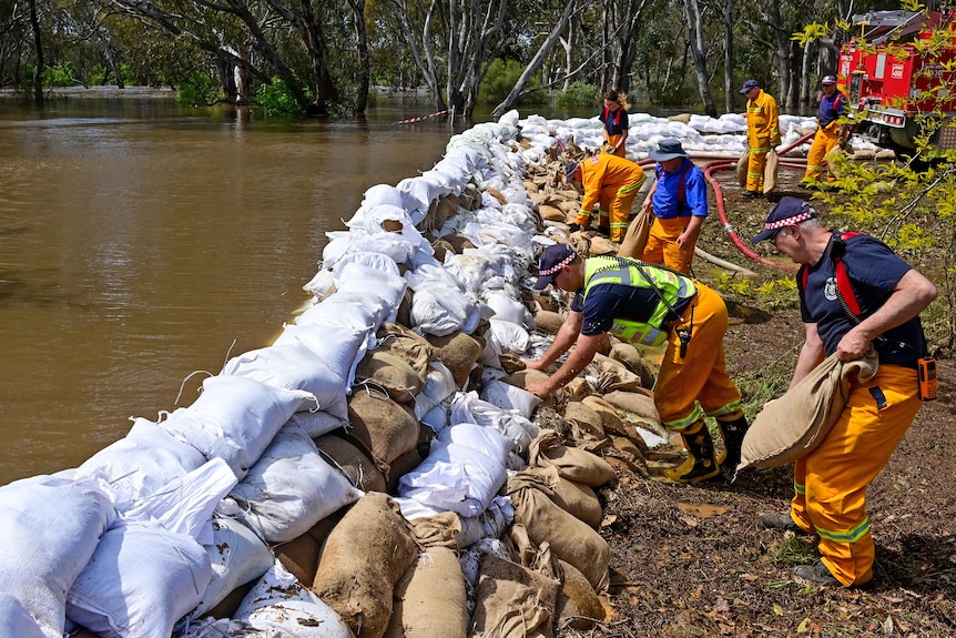 les secouristes placent des sacs de sable au bord d'une rivière