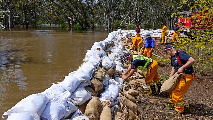 People wearing high vis clothing stack sandbags alongside a brown river.