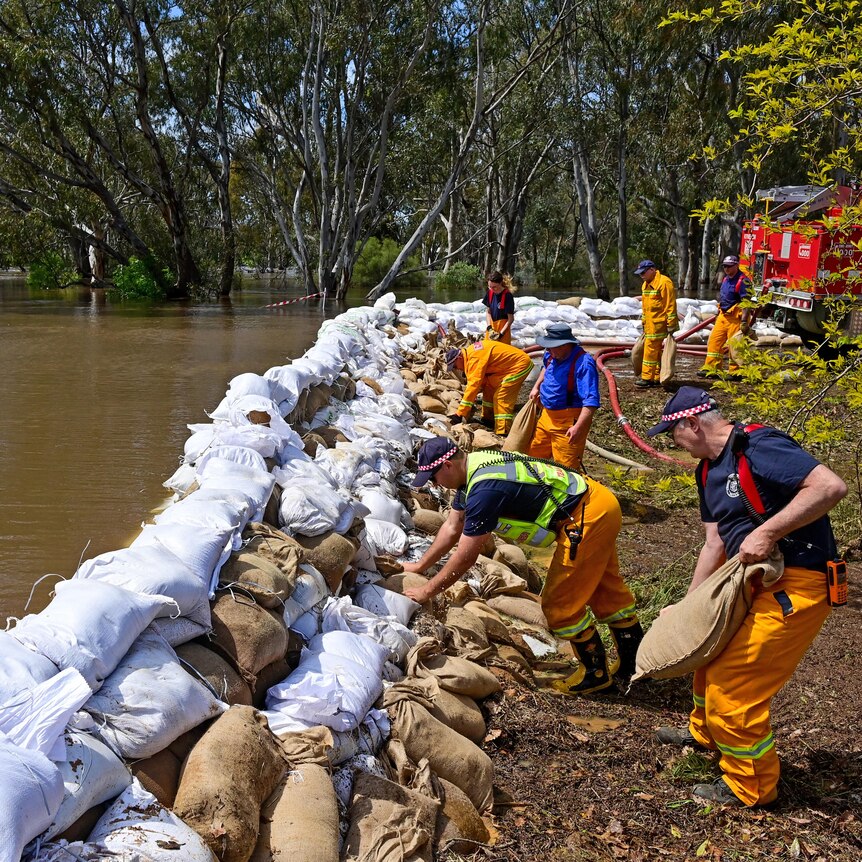 emergency workers place sandbags on the edge of a river