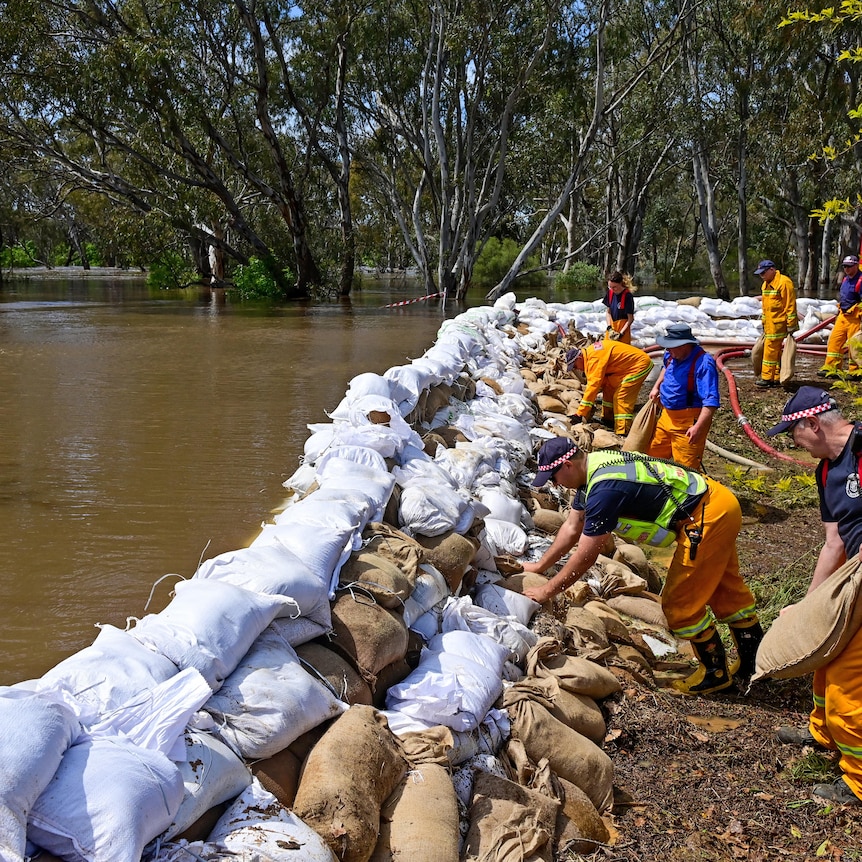 People wearing high vis clothing stack sandbags alongside a brown river.