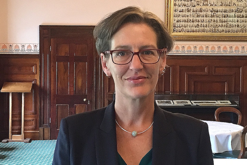 Greens Leader Cassy O'Connor stands in Parliament House Long Room.