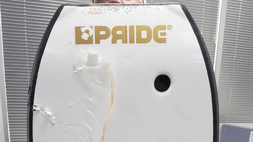 A boogie board with bite marks and tears.