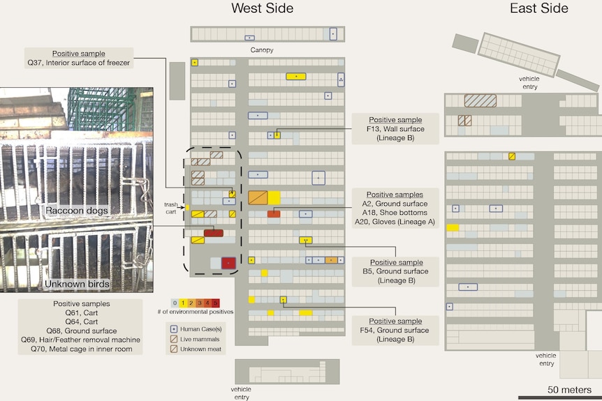 COVID-19 spatial mapping