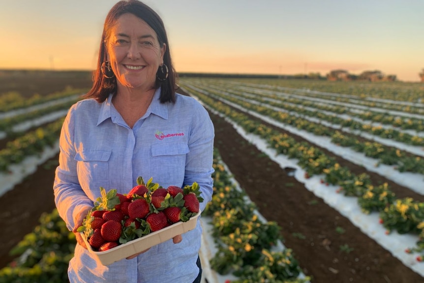 A woman with dark hair stands in a strawberry field, holding a punnet of strawberries.