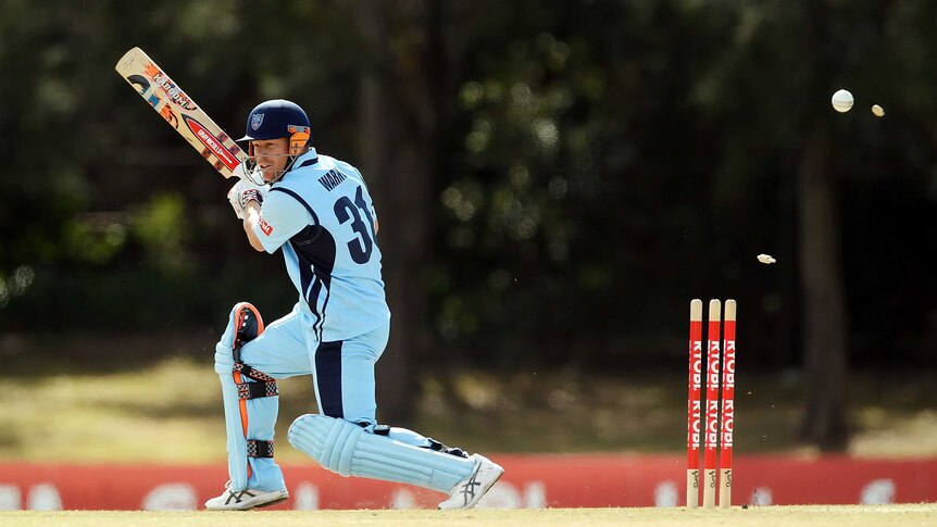 Warner's wicket skittled in NSW defeat