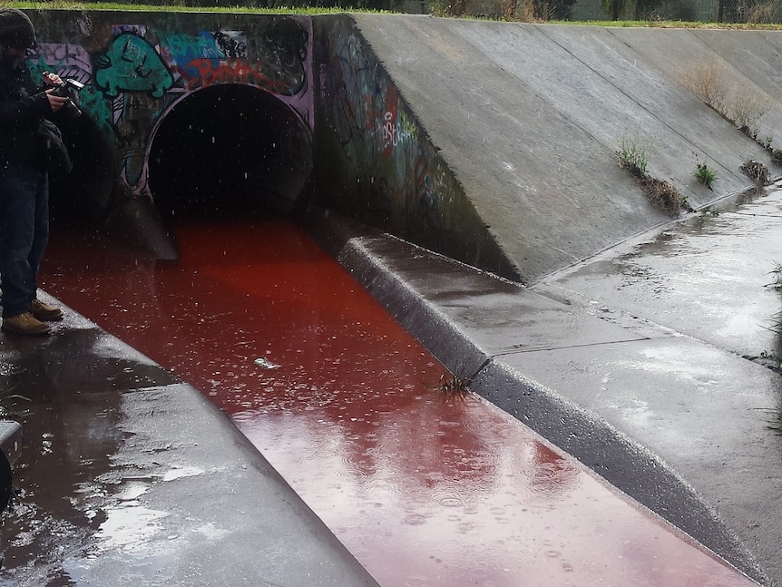 Stony creek filled with red water