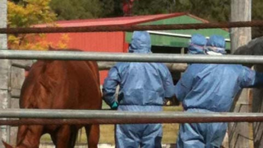 Mr Mulherin says protective equipment is the responsibility of the veterinary profession.