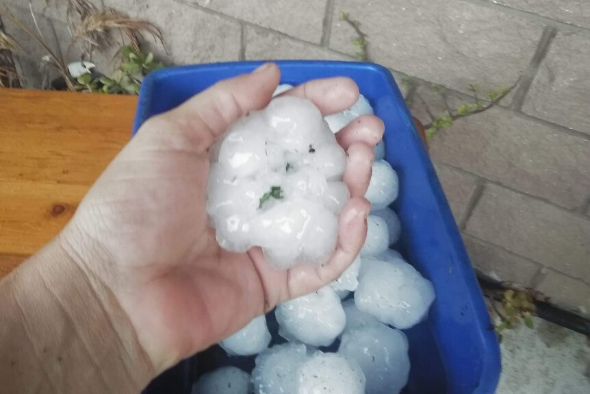 In Melawondi, near Kandanga and Imbil, residents have been collecting the hailstones in buckets.
