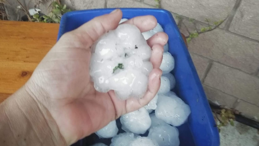 In Melawondi, near Kandanga and Imbil, residents have been collecting the hailstones in buckets.