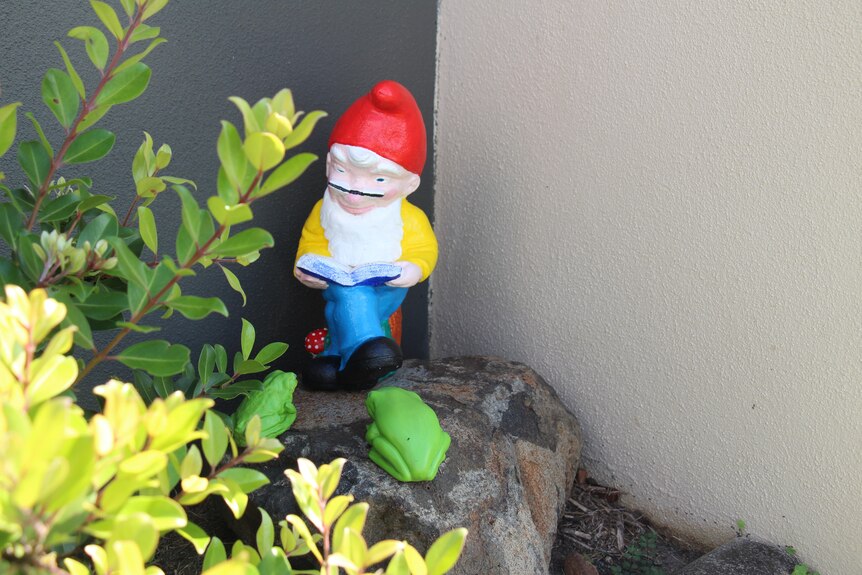 A gnome sits on a rock with a book, foliage in front