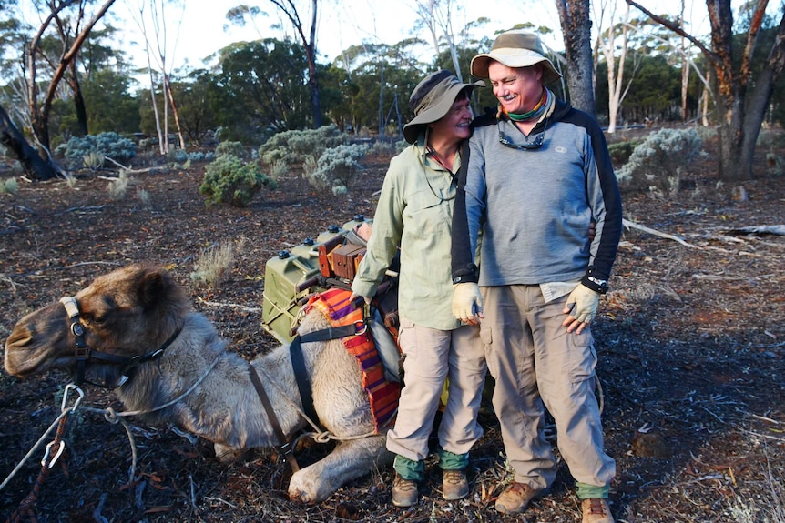 Two people standing in the bush smiling while standing in front of a camel.