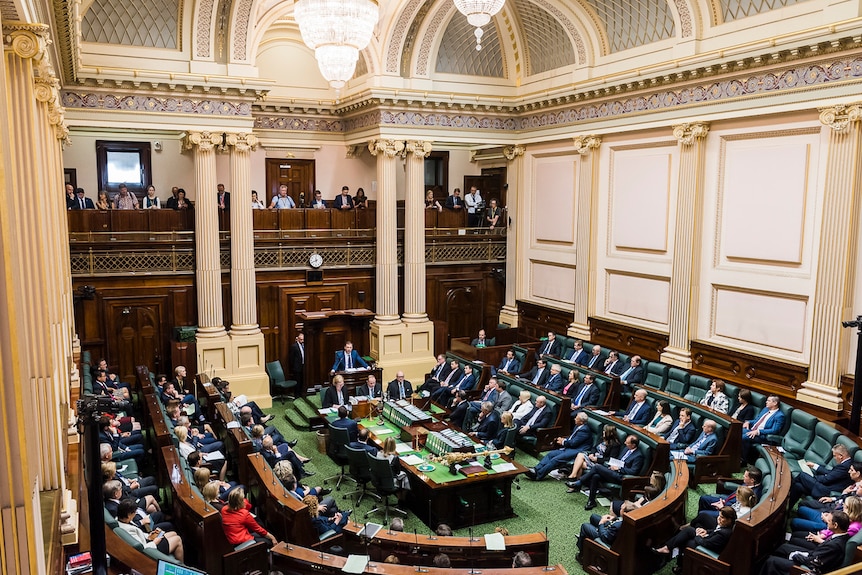 Parliamentarians sit in the Lower House as people watch on from the gallery above.