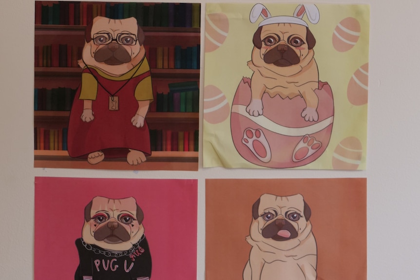Multiple painted portraits of a pug cross shitzu dog.