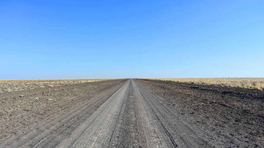 Outback black soil road surrounded by dry paddocks.