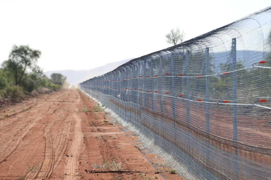 A long dirt road in NT with a long fence for keeping out feral cats