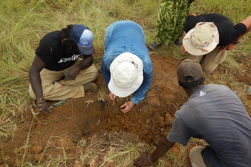 A bird's eye shot of Dr Raven digging through some tarantula burrows with students.