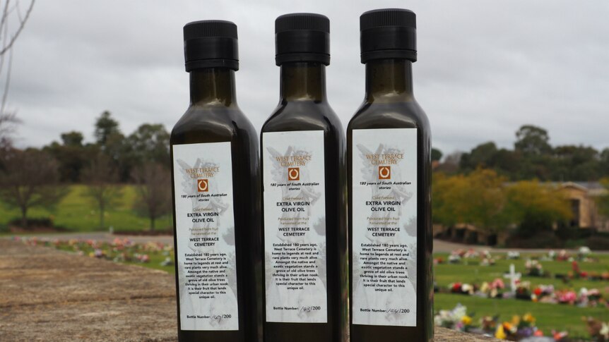 Olive oil made at West Terrace Cemetery in Adelaide.