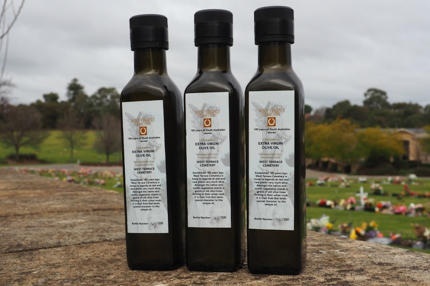 Olive oil made at West Terrace Cemetery in Adelaide.